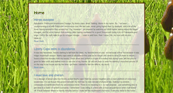 Desktop Screenshot of liberty-caps.com
